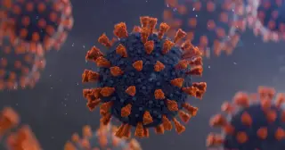 COVID-19 Cases Edge Up Across All 50 States as Fall Nears