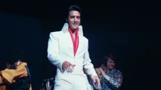 Elvis Rights Holders Sue Anthropic for $41M Over AI Training on 274 Songs