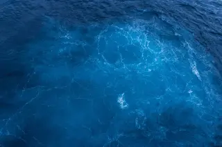 Ocean Microbes Provide About Half of Earth’s Oxygen, With a Hidden Footnote