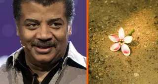 Cosmic energy lives on: Tyson on burial vs cremation
