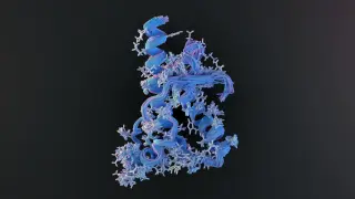 Protein-based infectious agents upend biology: the 1982 prion breakthrough