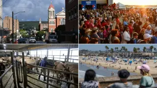 Midterm 2026: Polls show Democrats near 99% odds for House, but Republicans brace for 'wave' losses