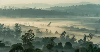 The Silent Cloud Over Lake Nyos: Cameroon’s 1986 CO2 Disaster