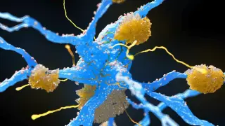 GLP-1 diabetes medicines show potential to curb Alzheimer's protein buildup in preclinical studies