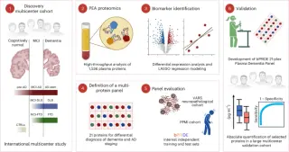Plasma proteomics yields a 21-protein panel to differentiate dementia types and stage Alzheimer’s disease