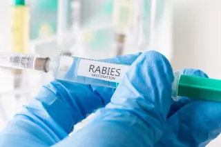 Loudoun County Warns of Rabies Exposure After Rabid Cat