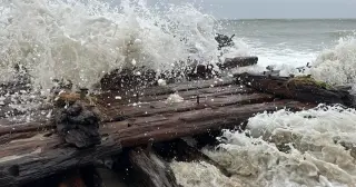 Nor'easter Unearths Possible 1884 Shipwreck Remnants on Nantucket Shore