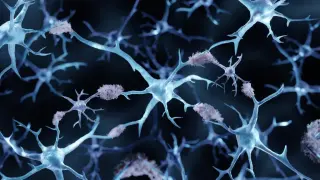 Amyloid debates and peptide policy drive biotech news