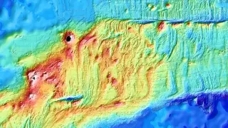 Undersea Observatory Captures Rare Burst of Seafloor Formation