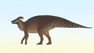 New Alberta Hadrosaur Sparks Crest Evolution Clues