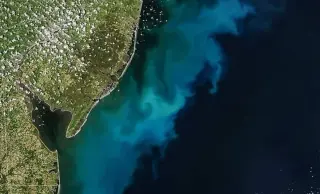 Giant East Coast Algal Bloom Visible From Space, NASA Reports