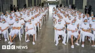 El Salvador Opens Massive Trial Against 486 MS-13 Leaders