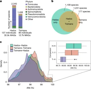 Ancient gut microbes traveled with humans from Africa to the Americas, study finds