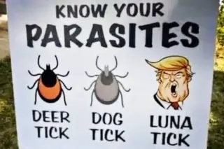 A Month's Worth of Signs So Funny They Erase Your High-School Embarrassment