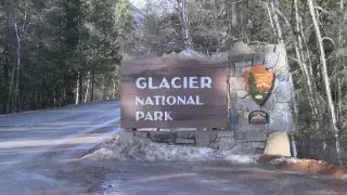 Hiker found dead in Glacier National Park after suspected bear encounter