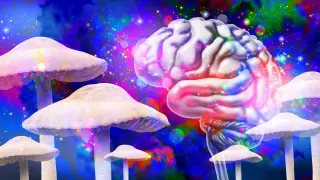 One psilocybin dose may reshape brain networks and boost well-being for weeks