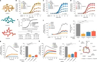 Arrestin-targeted breakthrough: first small molecules lock β-arrestin in an inactive state