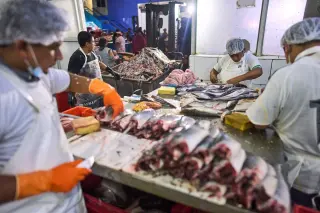 Tariffs, quotas and El Niño push seafood prices higher