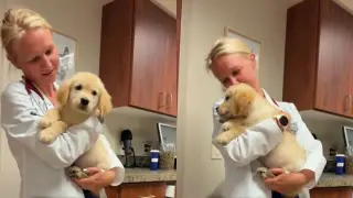 Puppy’s First Vet Visit Becomes a Heartwarming Cuddle Session