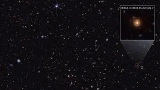 JWST imagery hints the 'little red dots' are distant galactic cores, not new objects