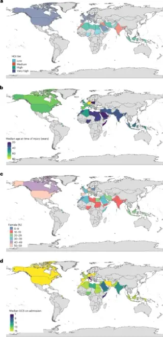 HDI strata reveal global gaps in traumatic brain injury outcomes