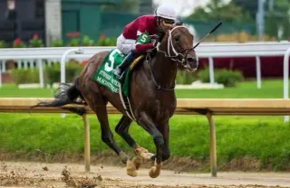 Whitney 2026 Preview: Odds Set for Saratoga's Showdown