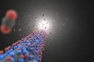 Designer Nitrogen-Linked Carbons Cut CO2 Capture Energy Costs