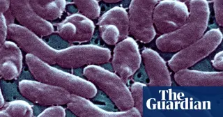 Louisiana warns beachgoers as Vibrio infections surge in coastal waters