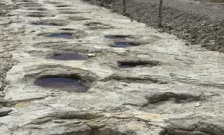 France Unveils 155-Meter Sauropod Footprint Trail in Jura Rock, the Longest Yet Found
