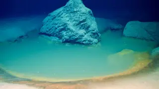 Extinct Red Sea Brine Pool Reveals Oxygen-Free Energy Pathway for Early Life