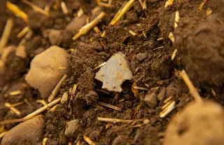 Tiny Arrowheads Hint at Early Homo sapiens Roaming Central Asia