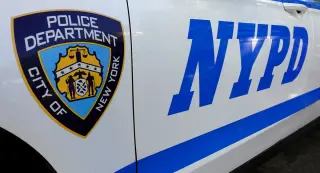 Nor'easter Kills NYCHA Worker in Brooklyn as City Faces Widespread Tree Damage