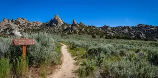 Modern wilderness wisdom: survival tips inspired by The Oregon Trail