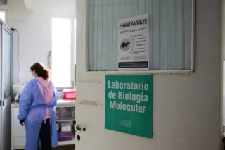 Illinois probes possible hantavirus case tied to indoor rodent exposure