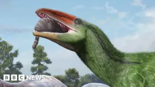 Century-old drawer fossil reveals first European megaraptoran