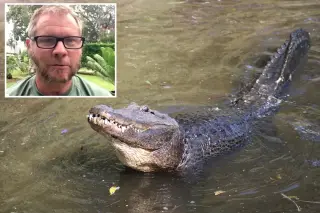 Good Samaritan Saves Paddleboarder After 10-Foot Alligator Attack in Florida