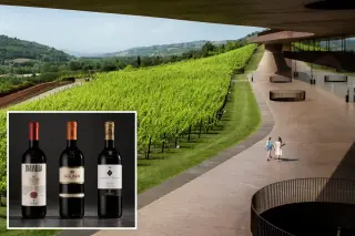 Tuscan Heist: Thieves Drain 30,000 Bottles of Antinori Wine in Record $5.8M Job