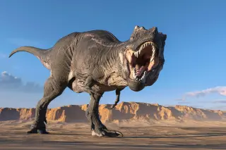 Big Skull, Tiny Arms: Why Rex and Other Giants Dropped Their Forelimbs