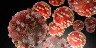 Kentucky Measles Cases Reach 157 as Laurel County Cluster Expands