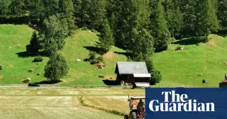 Soil Trojan horse: tiny plastics spreading pollutants and pathogens