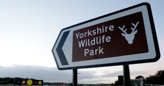 Fatal breach at Yorkshire Wildlife Park leads to closure and investigation