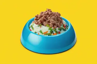Boy Kibble decoded: TikTok's macho meals trend