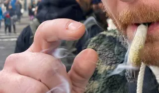 New Review Urges Quitting Cannabis After Reports of Severe 'Scromiting'