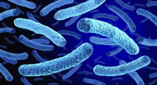 Fourth Fatality Ties Upper East Side Legionnaires’ Outbreak to Slowing Cases