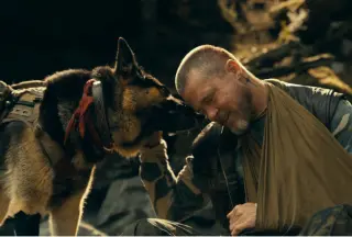 Pitt's 'Heart of the Beast' Fails to Revive Star Power, Outperformed by 2019 Marvel Rerelease