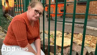 Nottingham Council Approves Felling of Two Trees in Sneinton Despite Local Campaign