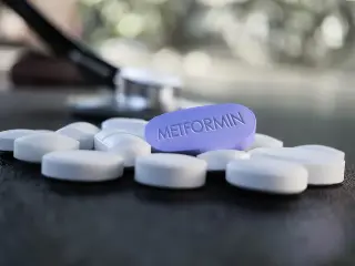 New Brain Mechanism Reveals How Metformin Lowers Blood Sugar