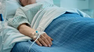 CDC data show Candida auris hits 3,437 cases across 27 states