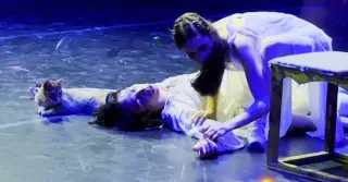 Cat Interrupts Izmir Romeo and Juliet Ballet, Stealing the Finale
