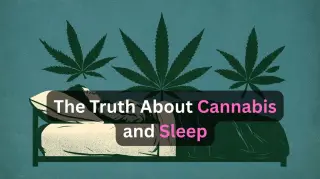 Cannabis Use Linked to Hidden Sleep Disruption Over 35 Years
